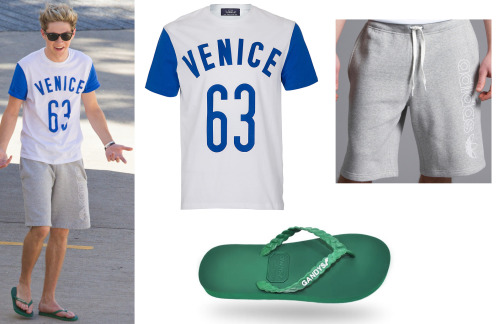 Niall wore these exacts outside the arena in Sydney, Australia (6th October 2013)
T Shirt - Topman £10
Shorts - Adidas £35
Flip Flops - Gandys £19.99
Sunglasses are Ray Ban Original Wayfarer&#8217;s :) 