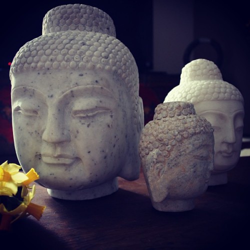 #buddah #buddha #buddhahead #buddhaheads #zen #meditation #globalstyle #bohemian #decor #interiordecor #love