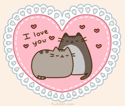 gif kitty cat love cute adorable kawaii cats cat gif kittens hearts valentines day