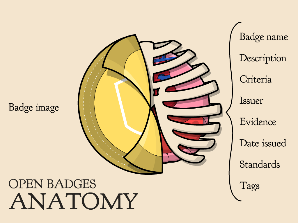 Open Badges Anatomy Image