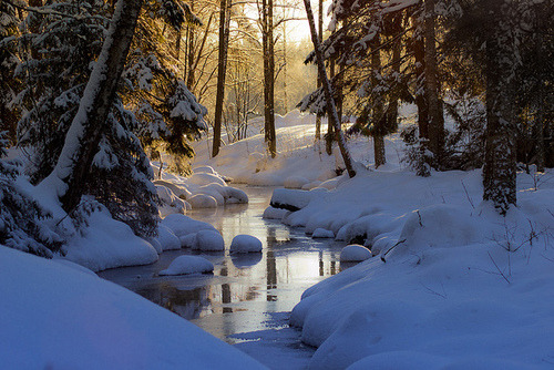 Winter Stream, Finland
photo via northern