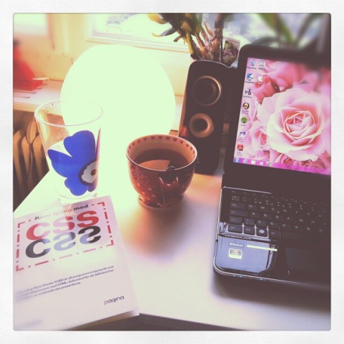 workingspace, glass of water, a book about css, a laptop with a desktop-background of pink roses and a cup of tea.