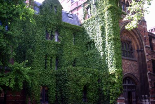 Ivy-covered campus hall