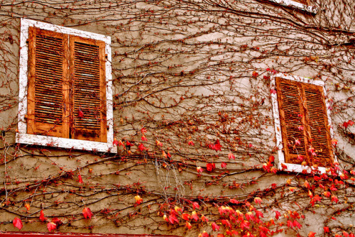 Beautiful windows in Bardolino, Italy