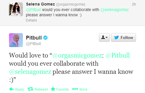 Pitbull says he would love to collaborate with Selena Gomez!