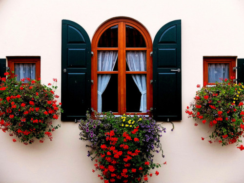 Beautiful window in Nördlingen, Germany