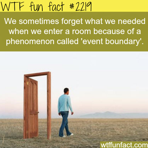 Event boundary, why we forget when we enter a room - WTF fun facts