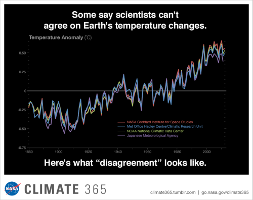 Each year, four international science institutions compile temperature data from thousands of stations around the world and make independent judgments about whether the year was warmer or cooler than average. “The official records vary slightly because of subtle differences in the way we analyze the data,” said Reto Ruedy, climate scientist at NASA&#8217;s Goddard Institute for Space Studies. “But they also agree extraordinarily well.”
All four records show peaks and valleys in sync with each other. All show rapid warming in the past few decades. All show the last decade has been the warmest on record.
Note: An updated version of this graph was posted on 1/25.

