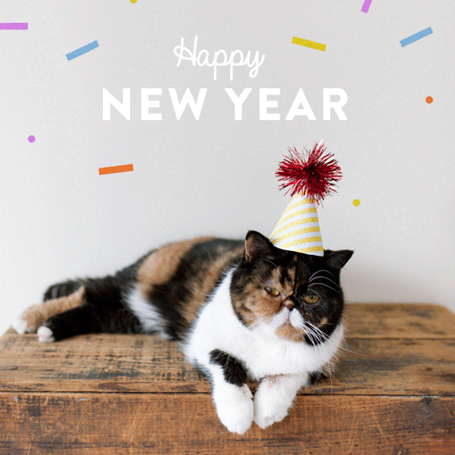 pudgethecat:

Pudge wishes you a safe and happy New Year!!
