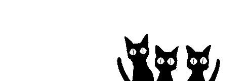 Image result for cat animated black gif transparent background