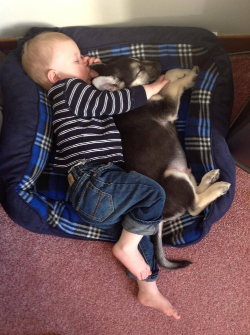 cute-overload: My son and his puppy, friends<br />                                                          for life. 