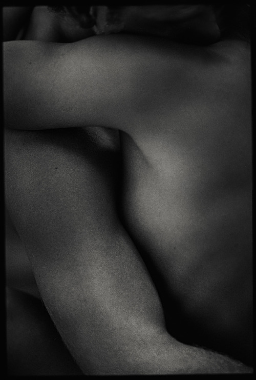 embrace  andreas heumann art limited v50001  all rights reserved c 20052009via microwalrus
