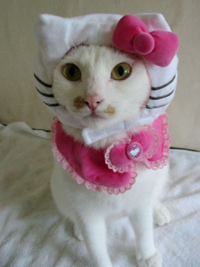 Japan's Hello Kitty Costume