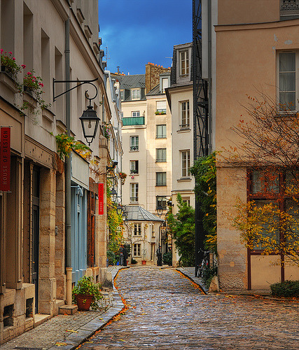 besttravelphotos:

Paris, France

(via spiritvines)