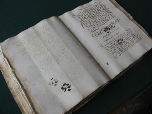 Has your cat ever walked across your keyboard? Well, it&#8217;s not a new problem. Medieval book historian Erik Kwakkel recently Tweeted this photo of a 15th century book with&#8230; you guessed it&#8230; cat paw prints in ink on the pages! We&#8217;re part of a long and glorious historical movement, friends. (Source: Dr. Marty Becker)
