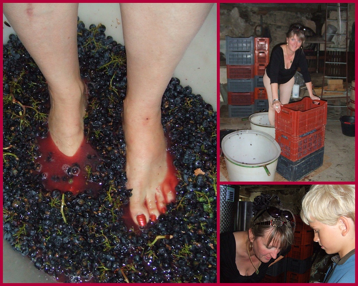 vendange 2012 - Weinernte - grape harvest 2012