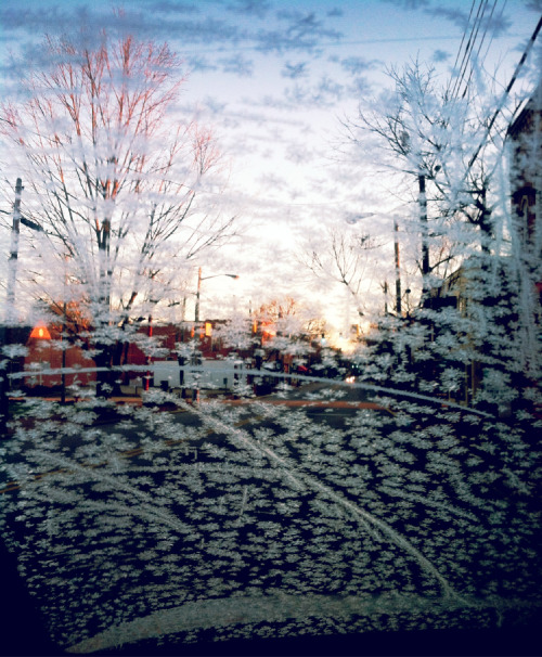 Frosty windshield