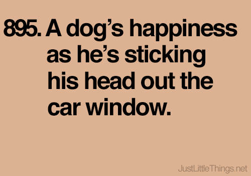 Or when you&#8217;re about to give him a treat!