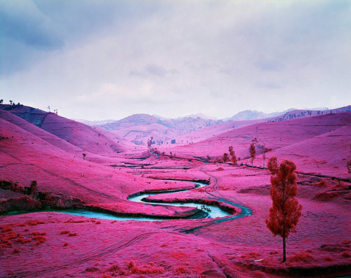 Infrared Landscapes by Richard Mosse posted by ianbrooks.me