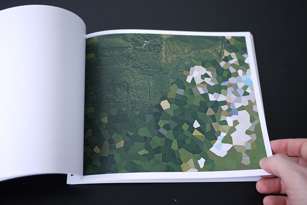 Henner, Mishka. Dutch Landscapes. 
PoD, 2011, 106 pages.