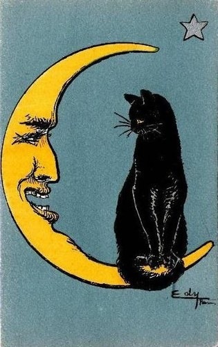 themagicfarawayttree:Le chat et la lune