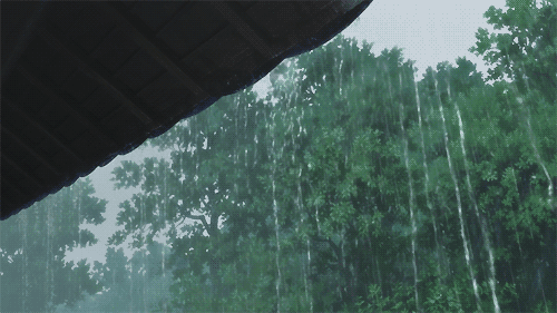 Image result for raining gif
