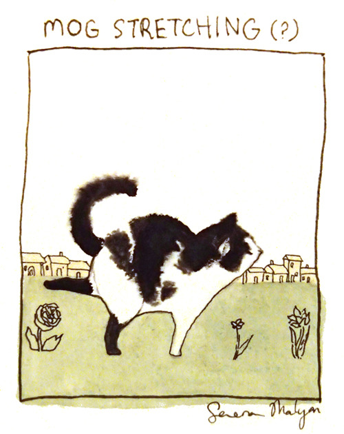 mog the cat illustration serena malyon art watercolour