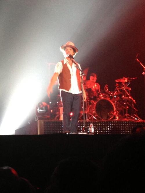 Another picture of Bruno in Ontario (x)