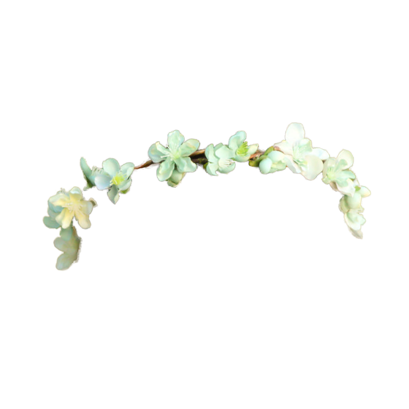 flower crown: NEW 856 WHITE FLOWER CROWN PNG