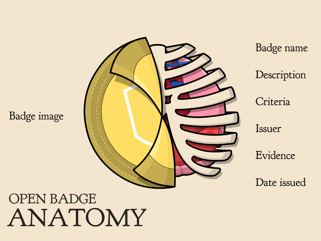 Open Badge Anatomy