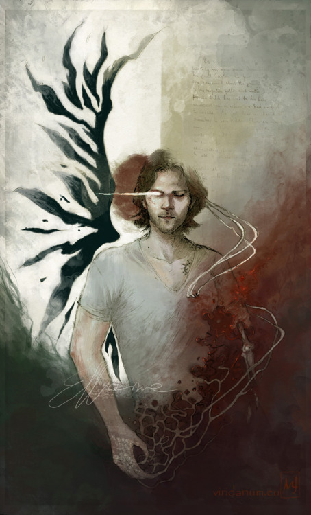 joaellaine:

And done! At least I believe so;)
The whole idea of the angel possession creeps me out. Ezekiel is like a parasite inside Sam’s head, who knows his every thought and emotion. And who just switches him on and off, as if Sam would be some kind of device, not a human being. I honestly feel bad for both of them - Dean that he had to make such decision and already facing the consequences, and Sam for being manipulated and ‘incapacitated’ in such a creepy way. It’s gonna hurt, when it comes out.
Thanks a lot to all of you guys, who bravely followed the creation process. It was a lot of fun for me, should try doing it more often. Hope, it was also fun for you:)
Available at Society6 as print: http://society6.com/ellaine/Parasite-hSM_Print

This is beautiful &lt;3
