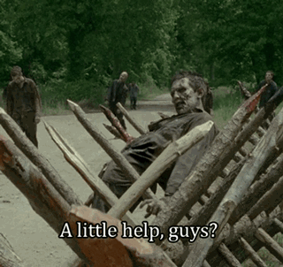 Funny Walking Dead GIFS Find Humor in the Zombie Apocaylpse