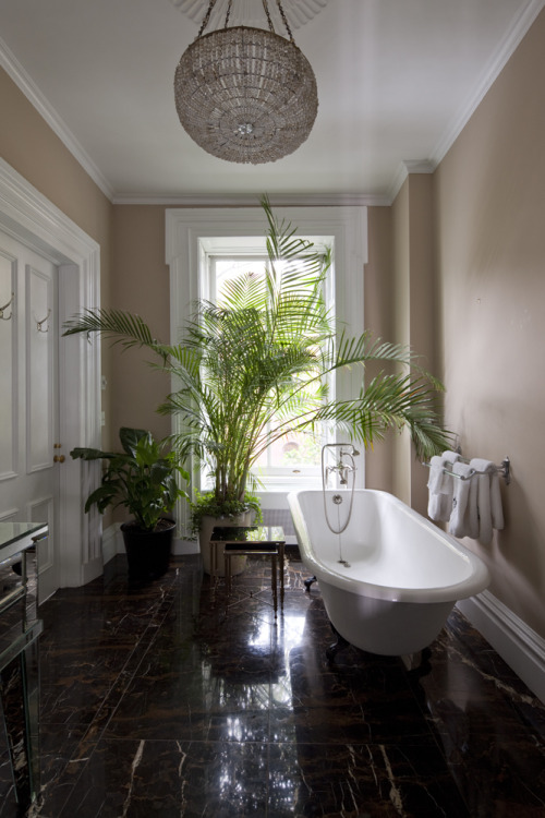 Source: The Names Agency
Rather regal bathroom. Are you a fan of house plants? I have to admit I struggle to even keep my basil plant alive most of the time and grimace at the thought of having to look after something larger! Plus I&#8217;m rather fussy about what plants I like and I tend to lean towards quite oversized or big leafed ones like Blue Hosta or the Fiddle Leaf Fig. Maybe one day I&#8217;ll get one&#8230;&#8230;.