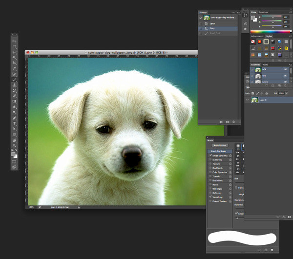 Just did this quick sketch of a puppy in photoshop.