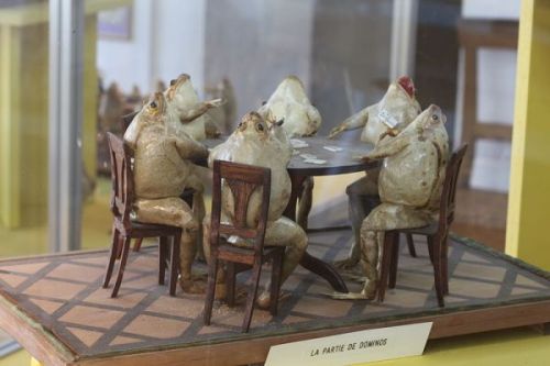 (via Frogs Playing Pool and Other Oddities at the Frog Museum - Neatorama)