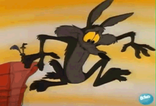 Image result for wile e coyote gifs
