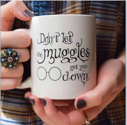 Don't let the muggles get you down