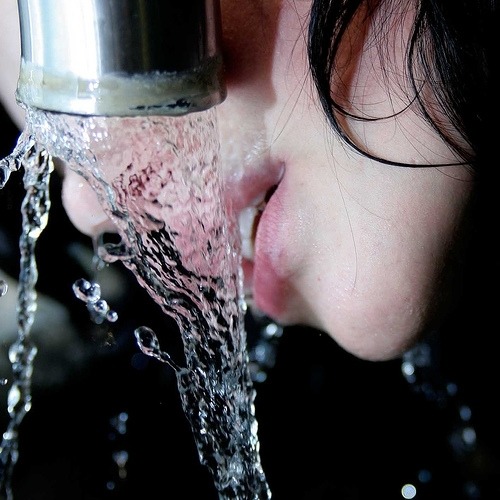 “Pela sede, 
aprende-se a água.” 
 
__Emily Dickinson