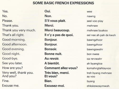 french languages someone looked at this and thought 'yes ...