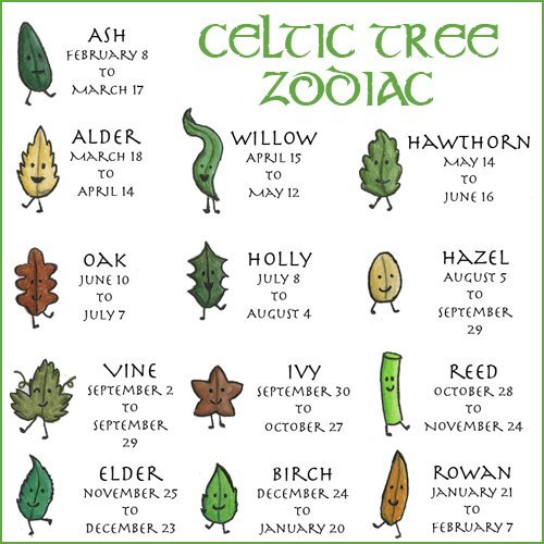 Celtic Tree Zodiac Signs