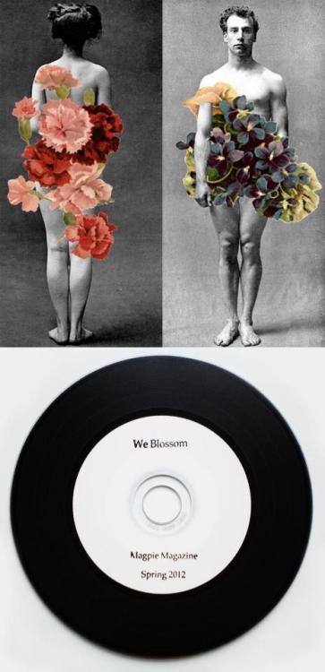 &#8216;We Blossom&#8217; is nearly sold out!
The limited edition CD compliation, produced with our &#8216;Metamorphosis&#8217; edition, is down to the last handful of copies. Order here.
▲△▲△▲△▲△▲△▲△▲△▲△▲△▲△▲△▲△▲△▲△▲△▲△▲△▲△▲△▲△▲△▲
&#8216;We Blossom&#8217; compilation CD
Listen to our favourite Spring sounds on this exclusive, limited edition compilation CD, featuring new musical releases reviewed within. Only available with Magpie Magazine Issue Five.

Cover Collage by Colette Saint Yves


Tracklist:

Morningtide - Está VivoThe Deer Convention - Hélène RenautBird - Ilya MonosovHe is Hanging By His Shiny Arms - Jozef Van Wissem feat. Jim Jarmusch Las Tres Hojas - Josephine Foster &amp; The Victor Herrero BandJosephine - Emma GatrillPay Day - John FairhurstParadise and So Many Colors - Larkin GrimmLa joueuse de flûte - ÖdlandMrs Magpie - MinkoCareless Love - ArboreaGaia and the Shepherd - Bethany van RijswijkLove&#8217;s Spring - Two WingsAnimal - FESTIVALHorse Heart - Lüüp A Spire - Julia KentMother&#8217;s Blessing - Maria PugnettiGhosts in My Heart - Mariee Sioux
False Intent - Slipt from the Blockhouse feat. Emma Gatrill▲△▲△▲△▲△▲△▲△▲△▲△▲△▲△▲△▲△▲△▲△▲△▲△▲△▲△▲△▲△▲△▲