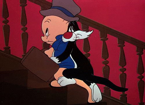Image result for sylvester and porky pig gifs