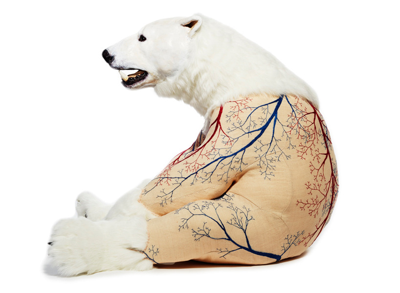 (via deborah simon embroiders the furless anatomy of bears)