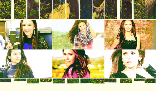  I want to keep growing,so I make vision boards that say things like, ‘Learn. Excel. Succeed.’ Favorites of 2012 » 5 Favorite People of 2012&#160;» Nina Dobrev 