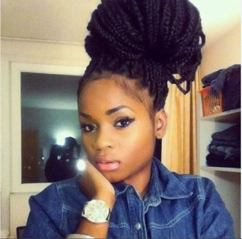 Pretty Black Girl Box Braids Hairstyles
