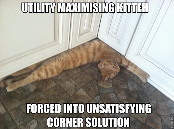 Ain&#8217;t no cat likes a corner solution. Except this one. From @RHTGreen.