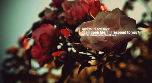 islamsymphony:

Praise to Allah that Allah is my Lord :’)