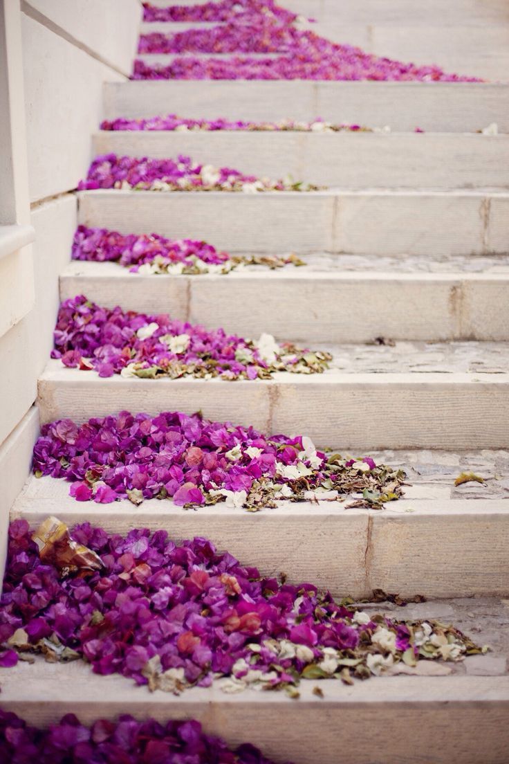 http://maxitendance.tumblr.com/post/73209454865/radiant-orchid-flowers-stairs