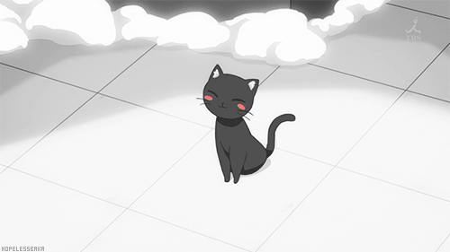 Cute Anime Cat GIF - Search