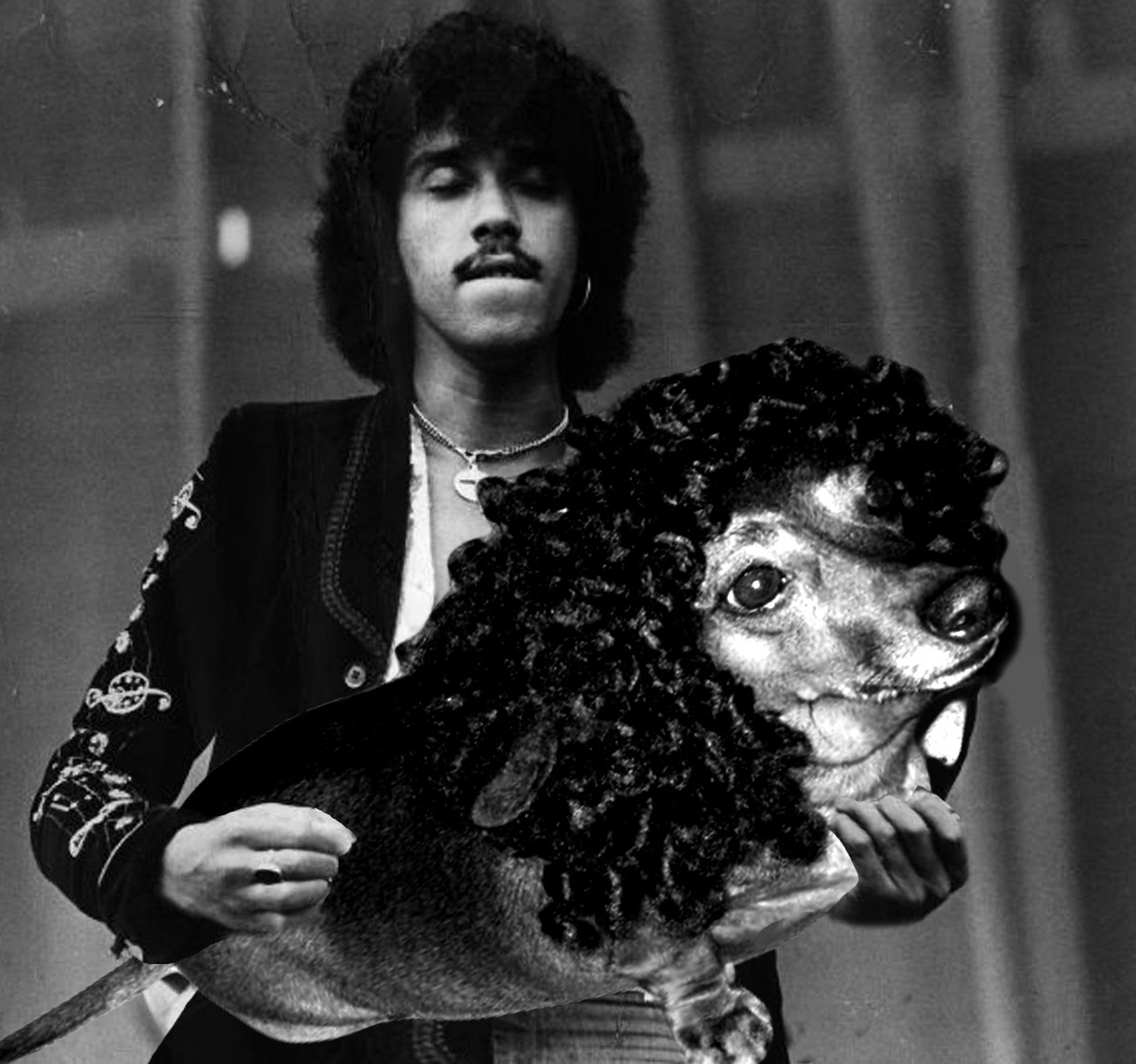 THE DOGS ARE BACK IN TOWN (Phil Lynott Bass Dog)